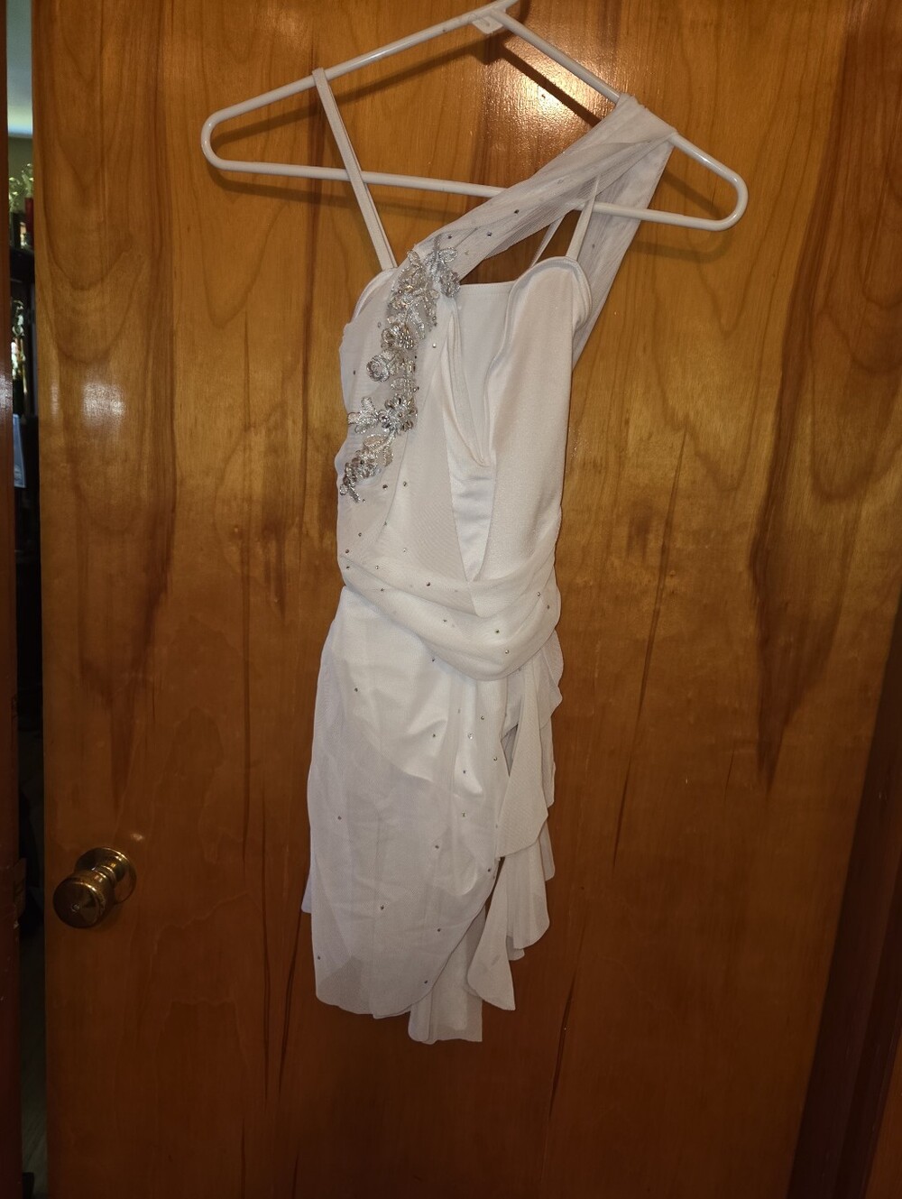 Small Adult Lrycial Dress